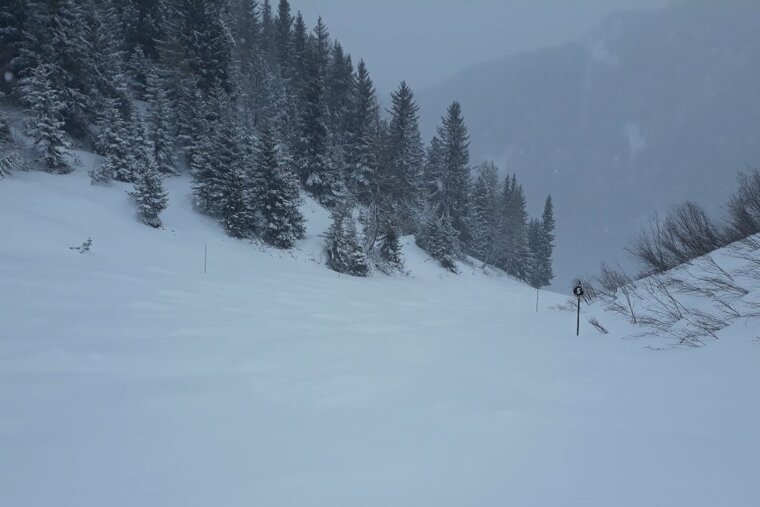 Hip hip hooray: the snow is here to stay