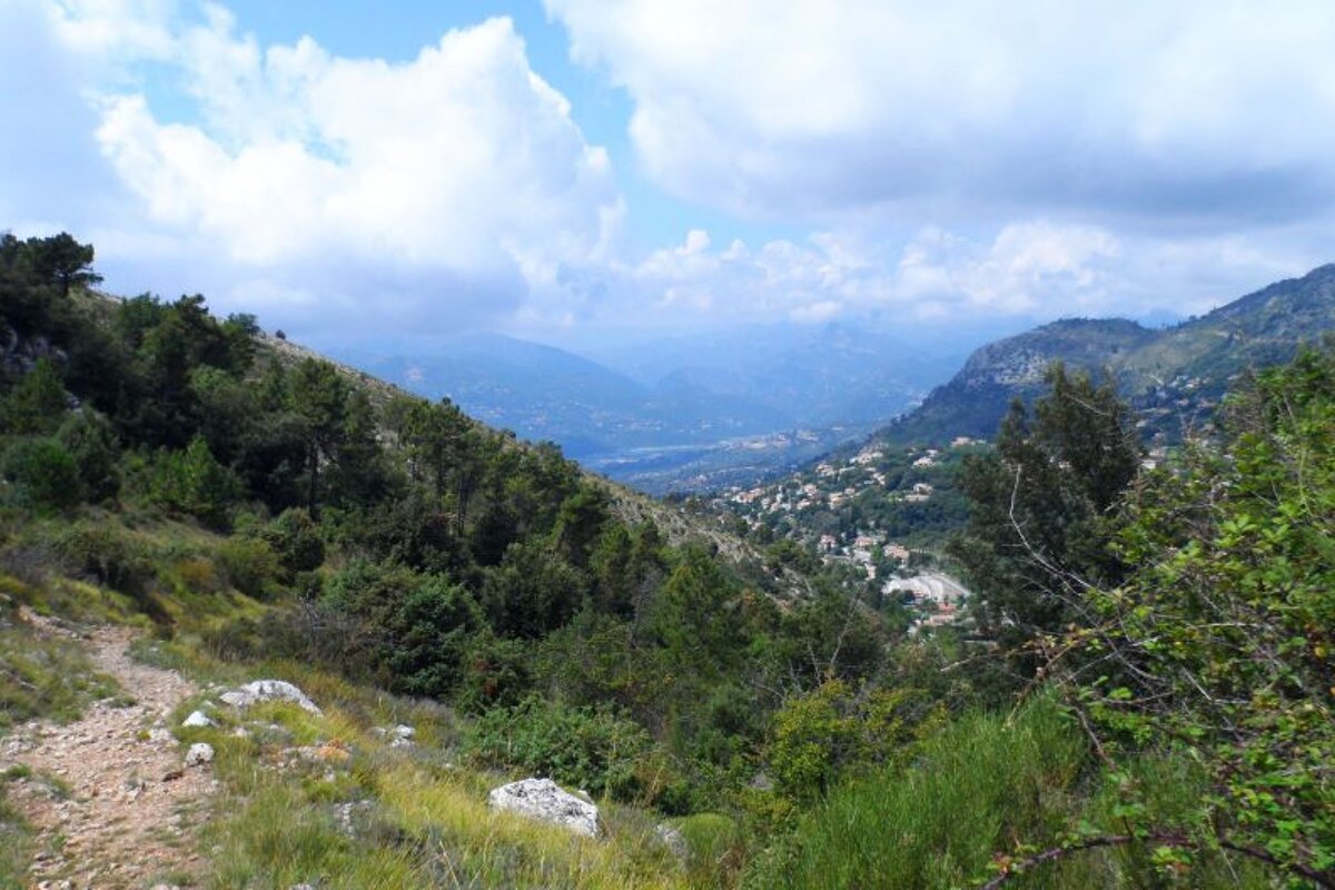 Aspremont Mont Chauve Circuit walking