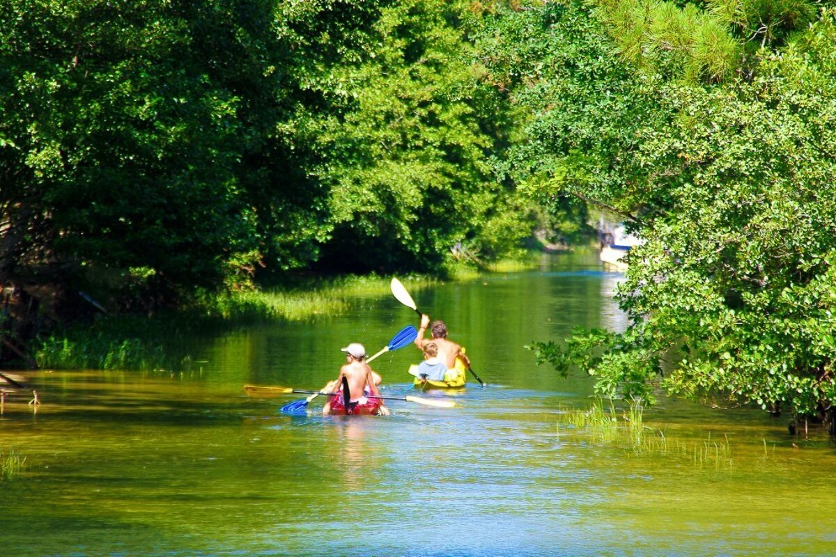 Two people in kayaks on a river surrounded by trees