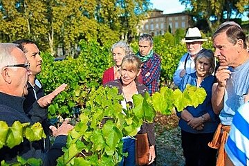 Chateau Pesquie Vineyard, Mormoiron