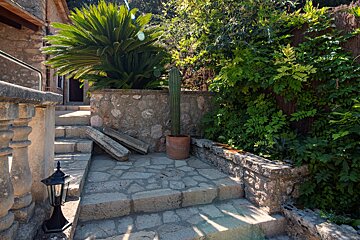 A stone walkway with a cactus in a pot