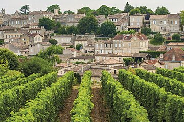town & vineyards of Bordeaux region