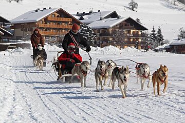 Paradisled Husky Sledding, Les Arcs Region