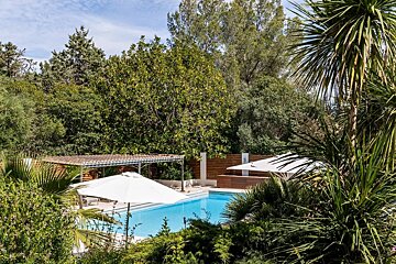 A large swimming pool surrounded by trees and palm trees