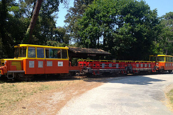 red and yellow tourist train