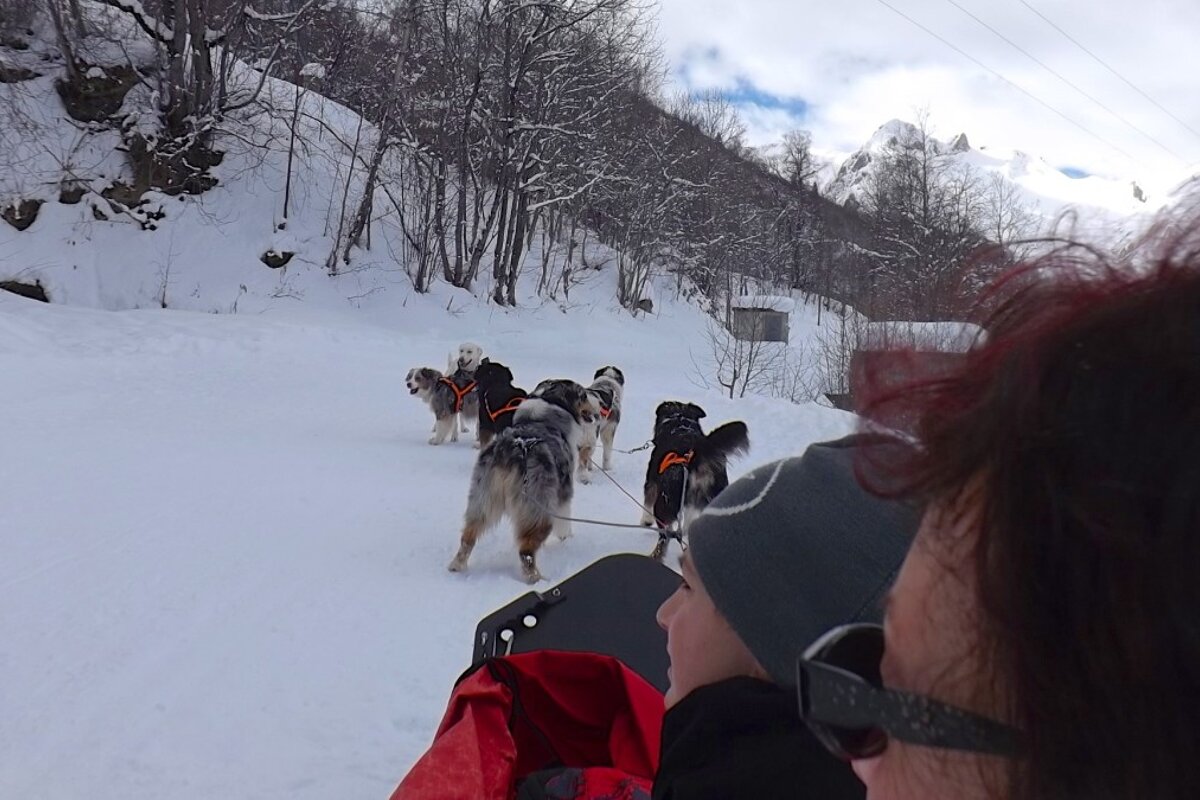 looking over the shoulder of the people in the front of the husky sled