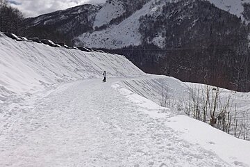 a snowy walking track in winter
