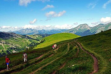 A group of people hiking on a trail in the mountains