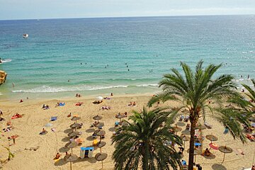 photo looking down on beach with trees