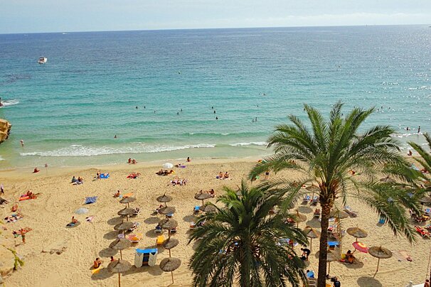 photo looking down on beach with trees