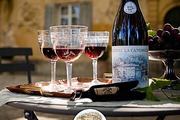 Chateau Le Canorgue Vineyard, Bonnieux