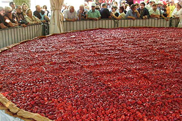 strawberry tart in dordogne