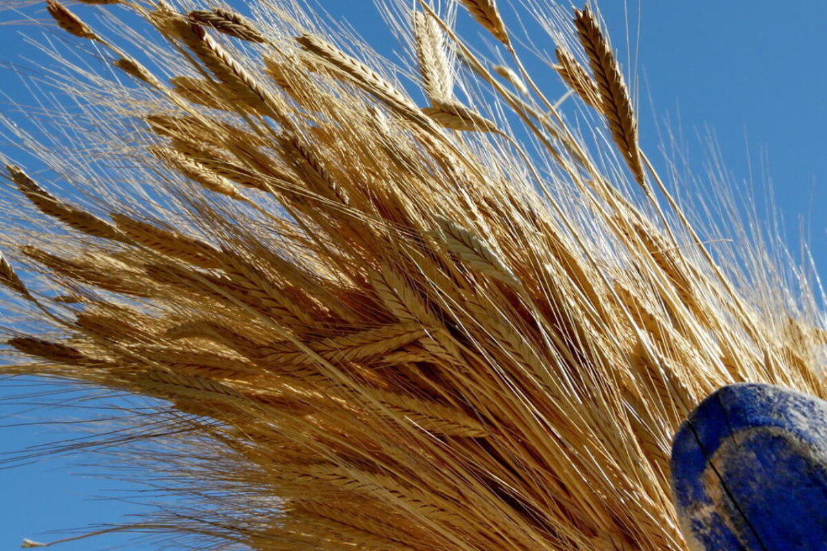 Medieval Festival, Monieux