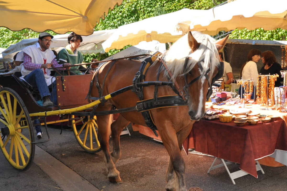 Medieval Festival, Monieux