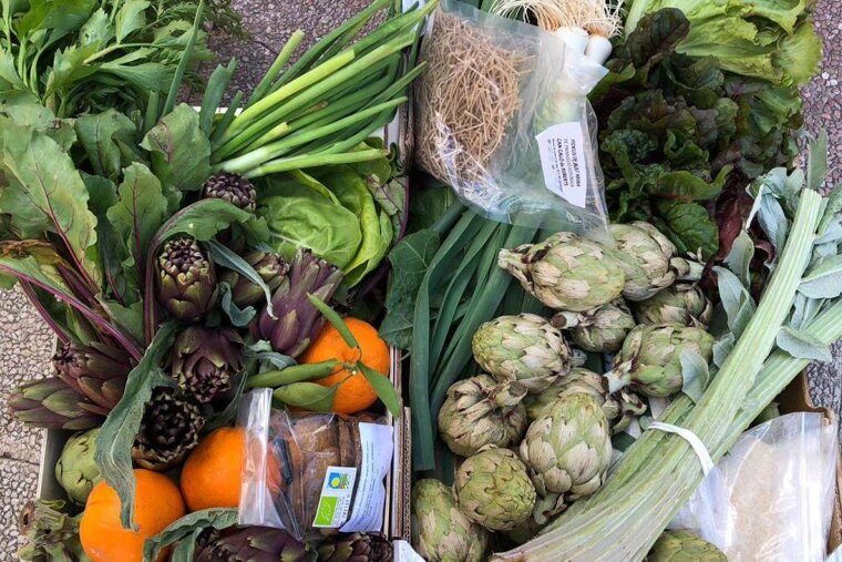 Organic & healthy eating in Mallorca 2018