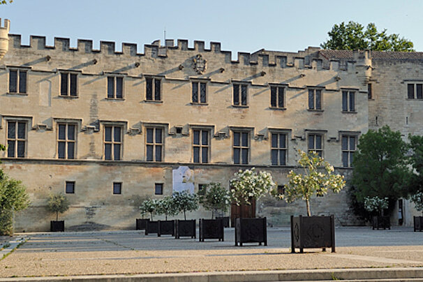 a grand palace in Avignon