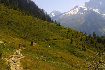 Train running in Chamonix