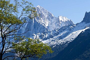 A snowy mountain with trees in the foreground