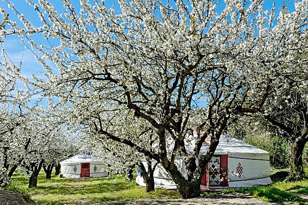 Le Vallon campsite, Bonnieux area