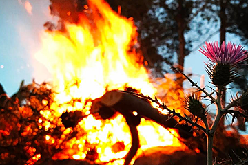 Summer is coming to Ibiza