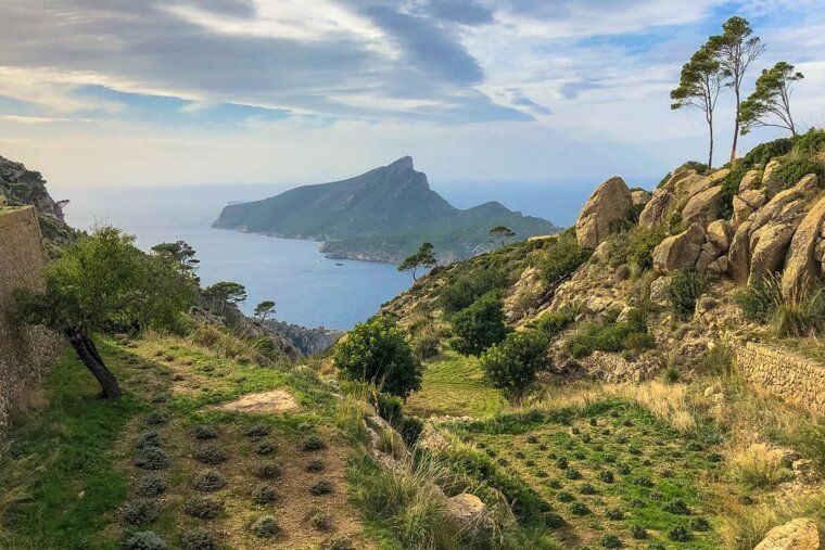 Fall for autumn 2019 in Mallorca
