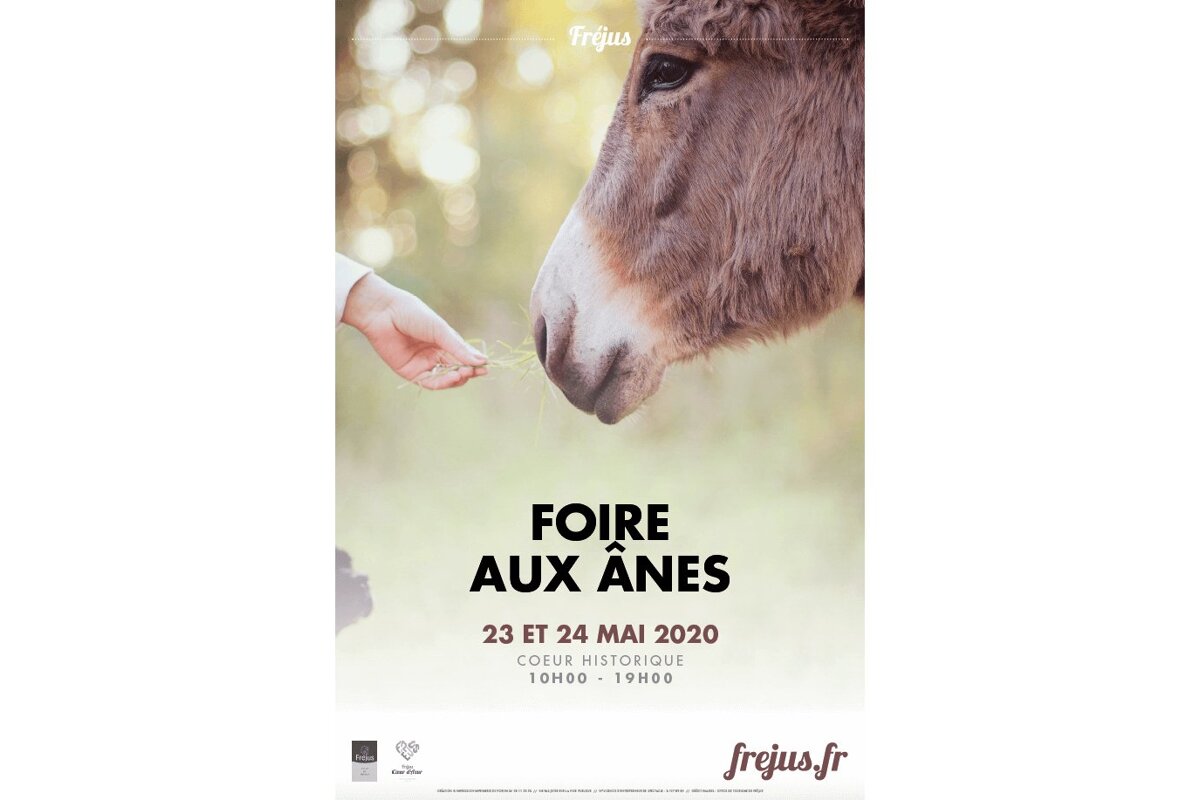 Foire aux Anes - Donkey Fair 2020, Frejus