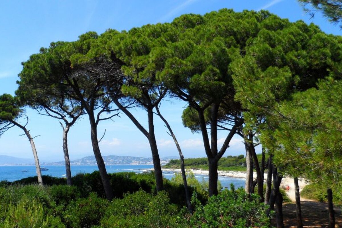 Ile Sainte Marguerite Beach, Cannes