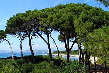 Ile Sainte Marguerite Beach, Cannes