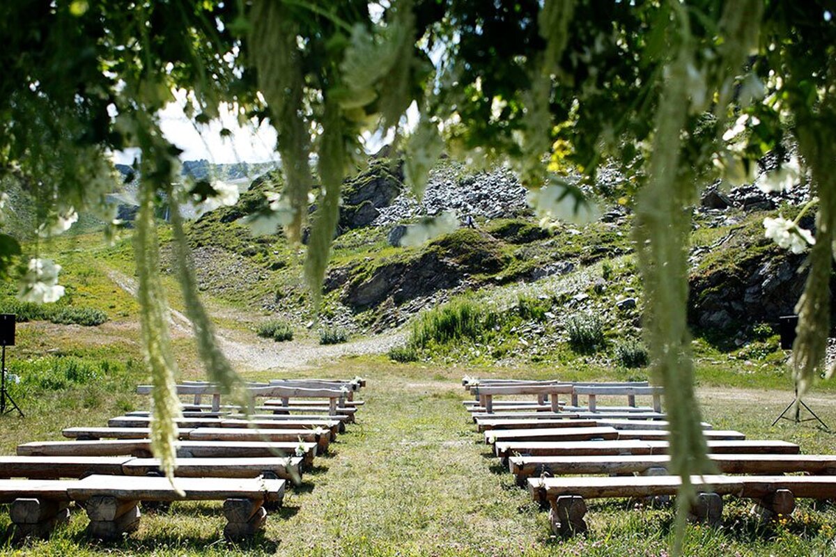 A row of wooden benches in a field with flowers hanging from the trees