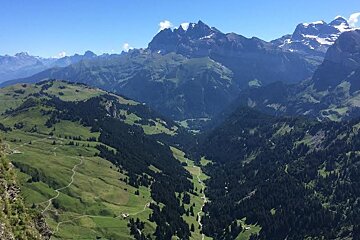 views from a trail running race
