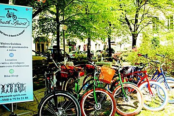 South Spirit Bike Hire & Bike Tours, Avignon