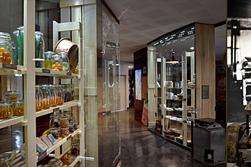 Calisson Museum, Aix-en-Provence