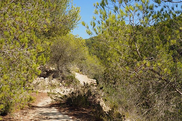 Circular hike around Port de Sant Miquel