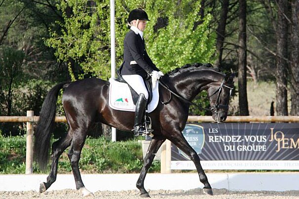 Domaine Equestre des Grands Pins, near Grimaud horse riding