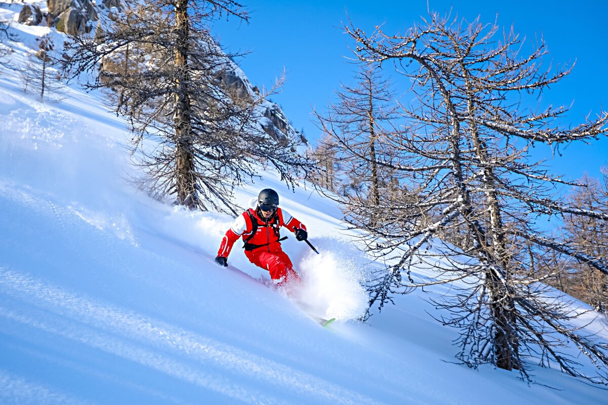 A skier in a red suit carves through fresh powder on a snowy mountain, with bare trees and a clear blue sky in the background.