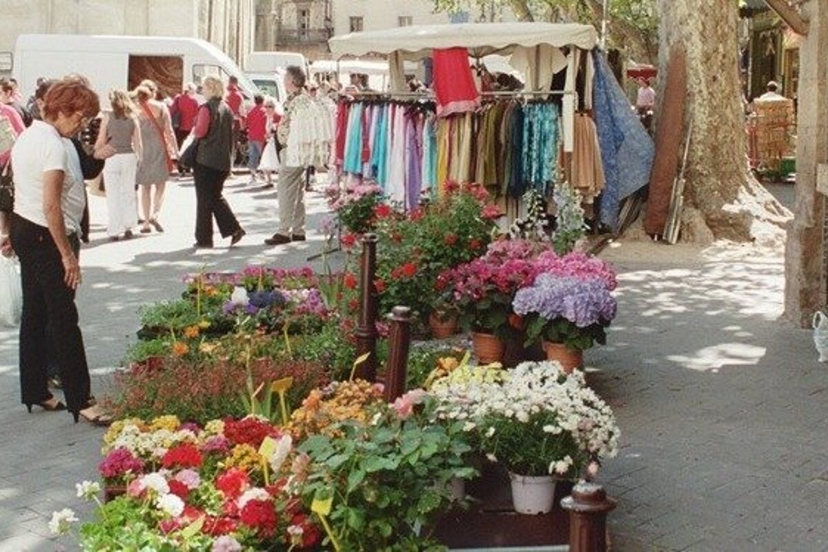 Provencal market, Isle sur la Sorgue