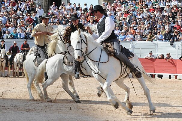 a horse show in the arena at Arles provence