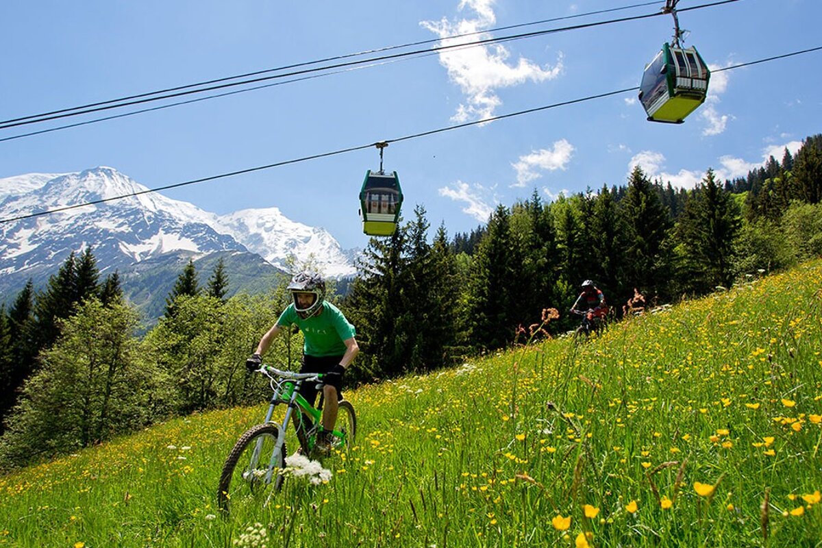 a picture of a mountain biker in a flowery meadow