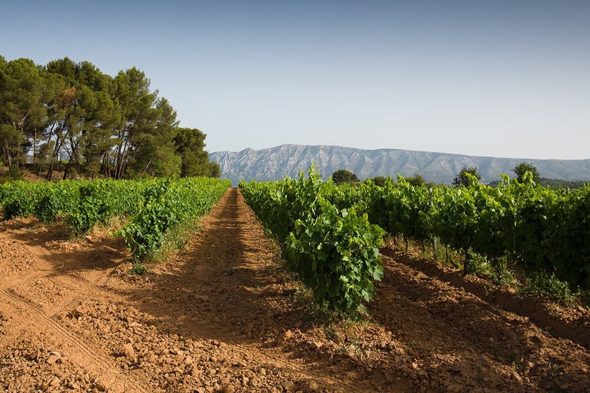 Chateau Coussin, Sainte Victoire