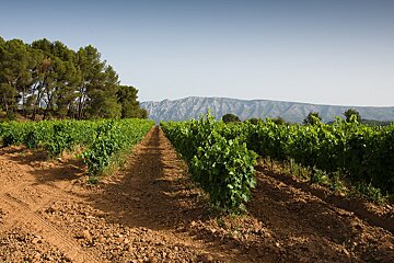 Chateau Coussin, Sainte Victoire