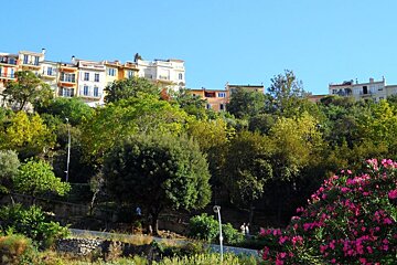 tall houses with a park and trees in front