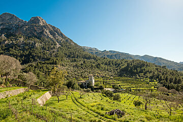 Swedes love Mallorca