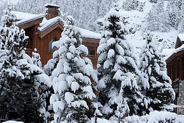 snowy trees in val disere