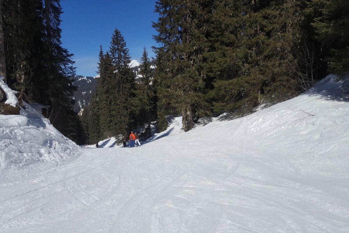 Spring has sprung in the Portes du Soleil, Morzine Region