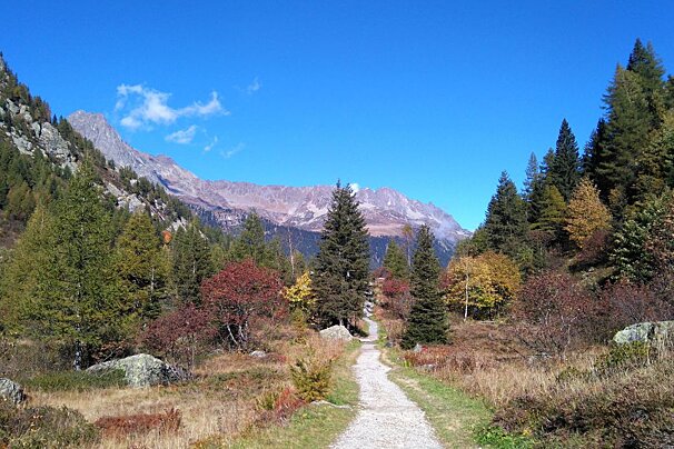 Sunday Funday Runday - Autumn Trail Running in Chamonix
