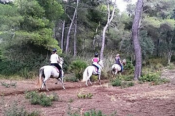 Walk from Cala Agulla to Cala Mesquida
