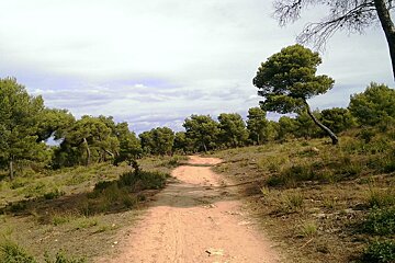 Walk from Cala Agulla to Cala Mesquida