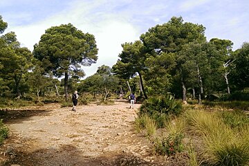Walk from Cala Agulla to Cala Mesquida