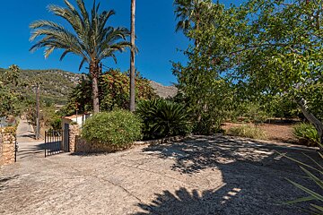 A stone walkway leading to a house with palm trees in the background