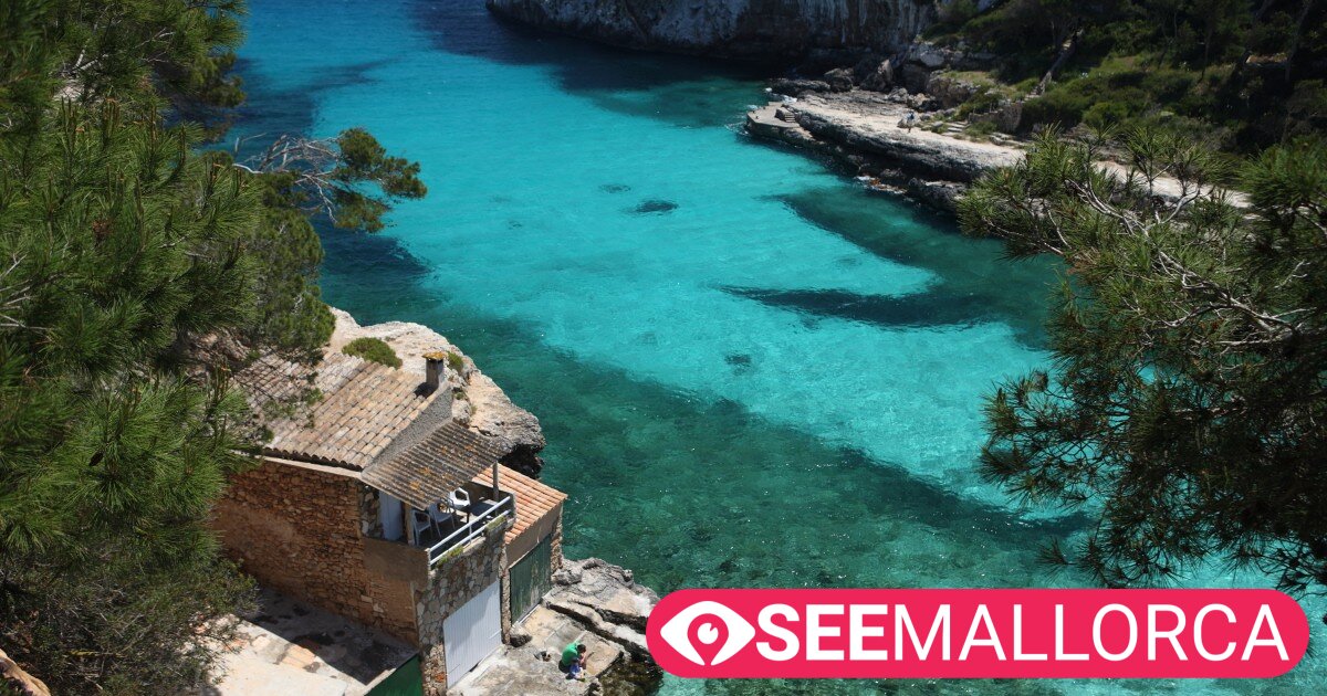 Mallorca Residents to German Tourists and Expats: Get Out! 2 Travel, Tourism, Lifestyle & Human RIghts cala llombards jpg.jpg?ua=1579872967&p=og%3Aimage&wat=1&wat url=https%3A%2F%2Fwww.seemallorca.com%2Fsites%2Fwww.seemallorca.com%2Fimg%2Fwatermark | eTurboNews | eTN